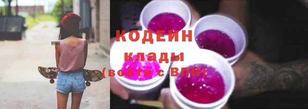 mdpv Бородино