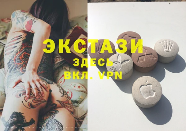 mdpv Бородино
