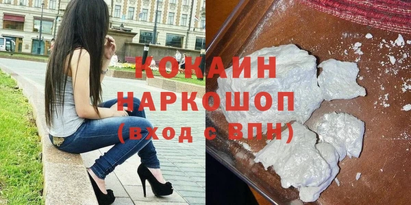 mdpv Бородино