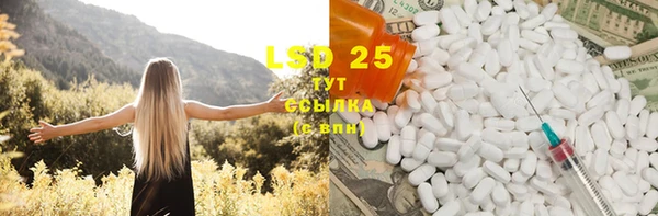 mdpv Бородино